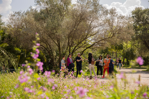 Atenas: Recorrido Mitológico para FamiliasAtenas: Visita mitológica para familias en francés