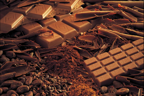 From Lausanne: Gruyères Tour with Chocolate & Cheese Tasting