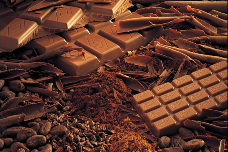 From Lausanne: Gruyères Tour with Chocolate & Cheese Tasting