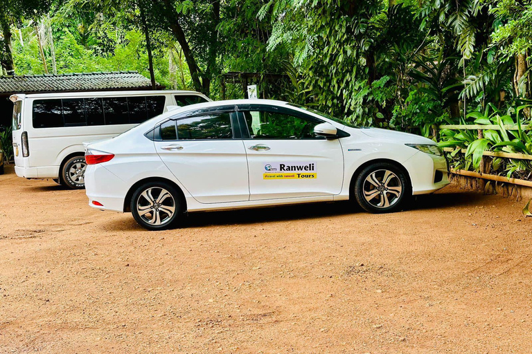 Excursion d&#039;une journée à Kandy depuis Colombo, Negombo ou Katunayake