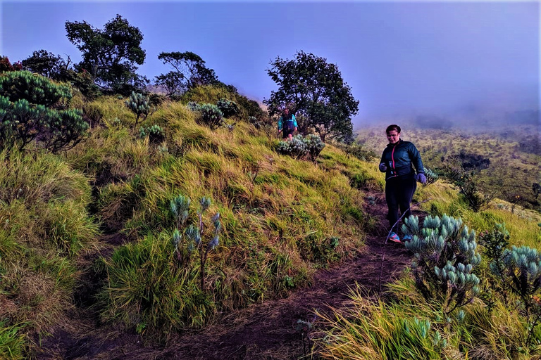 From Yogyakarta : Mount Merbabu Camping 2D1N