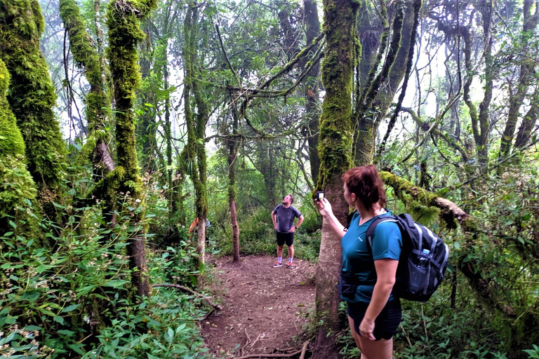 From Yogyakarta : Mount Merbabu Camping 2D1N