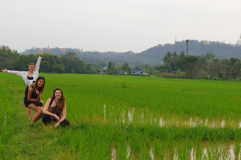 Halve dag yoga, meditatie en onderdompeling in de Thaise cultuur