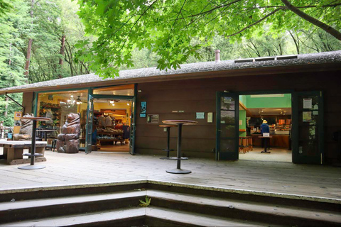 San Francisco : Muir Woods et Sausalito Frais d'entrée inclus