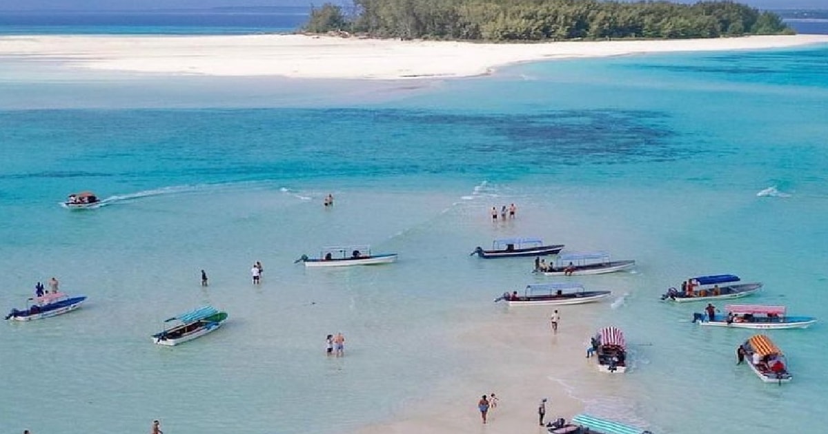 Zanzibar: Mnemba Island Private Snorkeling Tour with Pickup | GetYourGuide