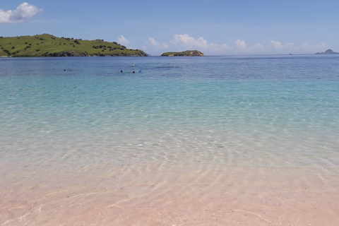 Circuit de l&#039;île de Komodo : 3 jours 2 nuitsCircuit de l&#039;île de Komodo 3Djours 2nuits