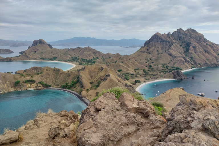 Komodo Island Tour: 3Days 2Nights Komodo Island Tours 3Days 2Nights