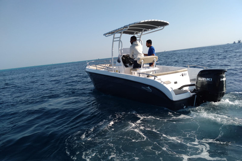 Hurghada: Tour di 3 isole con avvistamento di delfini e snorkelingMotoscafo privato di una giornata intera