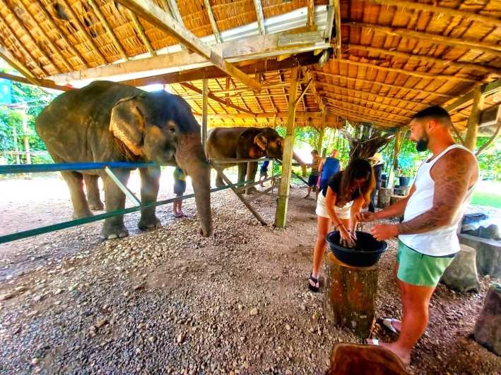 Krabi: Khao Sok Elephant Rescue Center & Bamboo Raft Paddle