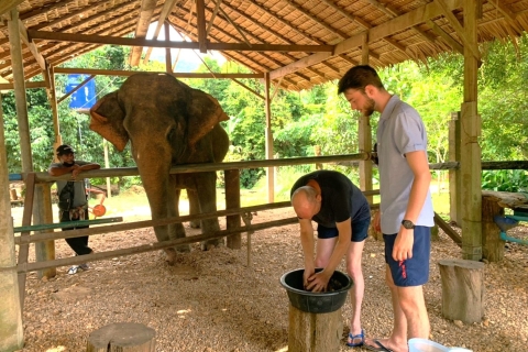 Krabi: Khao Sok Elefantenrettungszentrum & BambusfloßpaddelnKhao Sok Elephant Rescue Center & Bambusfloßpaddeln - Teilen
