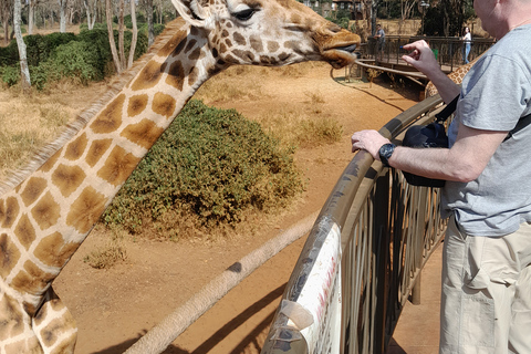 Tour dell&#039;orfanotrofio degli elefanti e del centro delle giraffe di David Sheldrick.Tour dell&#039;orfanotrofio degli elefanti e del centro delle giraffe di David Sheldrick