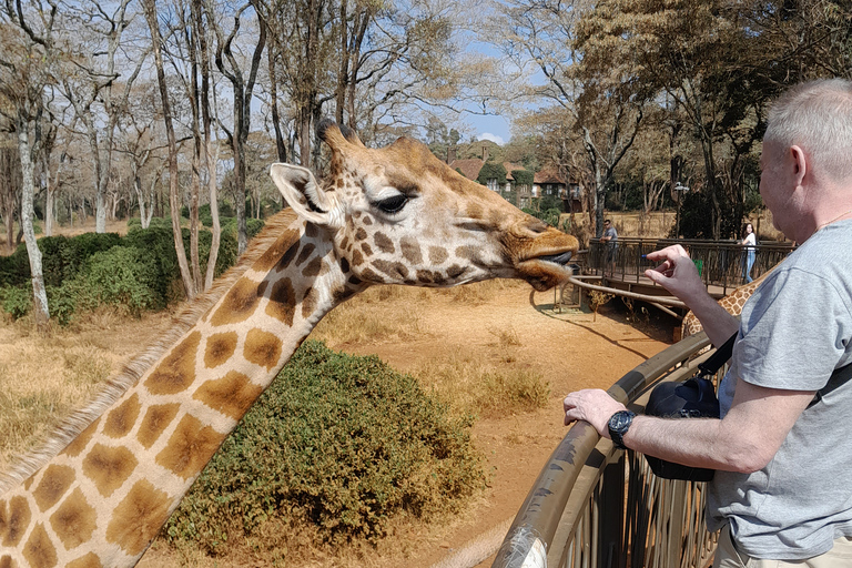 Tour dell&#039;orfanotrofio degli elefanti e del centro delle giraffe di David Sheldrick.Tour dell&#039;orfanotrofio degli elefanti e del centro delle giraffe di David Sheldrick