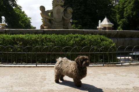 Madrid: Retiro Park Deluxe with Hidden Stories Small Group El Retiro Tour + Rum Tasting
