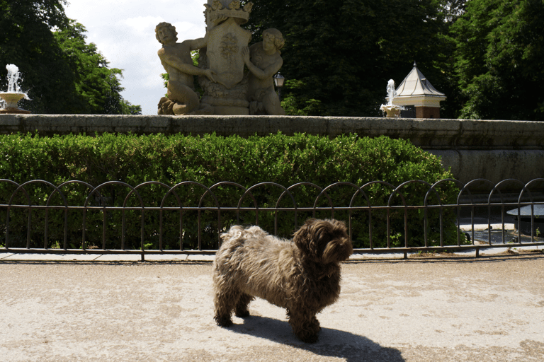 Madrid: Retiro Park Deluxe with Hidden Stories Small Group El Retiro Tour + Rum Tasting