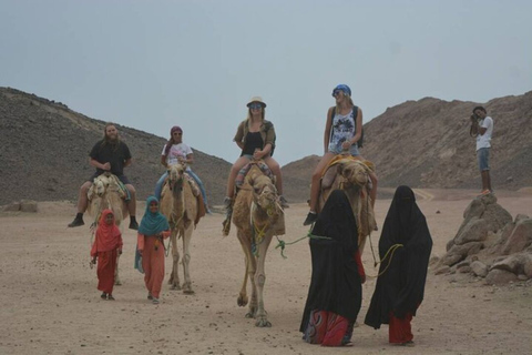 Woestijntour: quadrit, diner, zonsondergang, kamelenritTour met ophaalservice vanuit Hurghada, in de stad