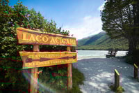 Ushuaia, Tierra del Fuego National Park Half Day Tour - Housity