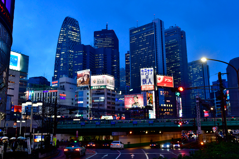 Tour fotografico privato di Tokyo con un fotografo professionistaTour fotografico privato di 3 ore diurno o notturno