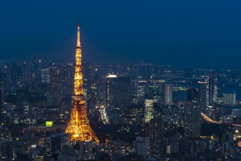 Prywatna wycieczka po Tokio z profesjonalnym fotografem3h Prywatna wycieczka fotograficzna w dzień lub w nocy