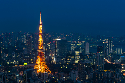 Tour fotografico privato di Tokyo con un fotografo professionistaTour fotografico privato di 3 ore diurno o notturno