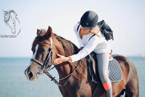 Visite de Sharm El shiekh Beach & Desert Horse Riding TourCircuit de 2 heures à cheval sur la plage et dans le désert