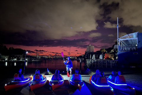 Sydney: Kajaktocht bij zonsopgang in de haven van SydneyEnkele kajak