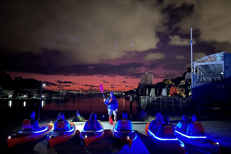 Sydney: Sunrise Kayak Tour on Sydney HarbourSingle Kayak