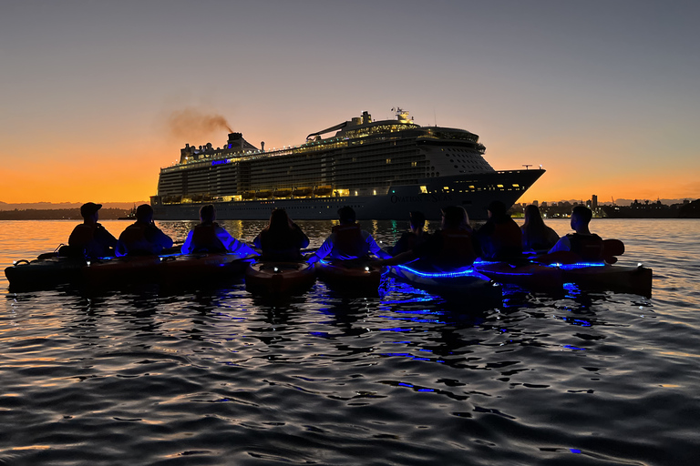 Sydney: Kajaktour zum Sonnenaufgang im Hafen von SydneyEinzel-Kajak