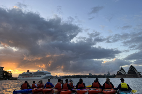 Sydney: Kajaktour zum Sonnenaufgang im Hafen von SydneyEinzel-Kajak