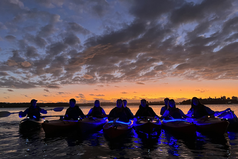 Sydney : Excursion en kayak au lever du soleil sur le port de SydneyKayak simple