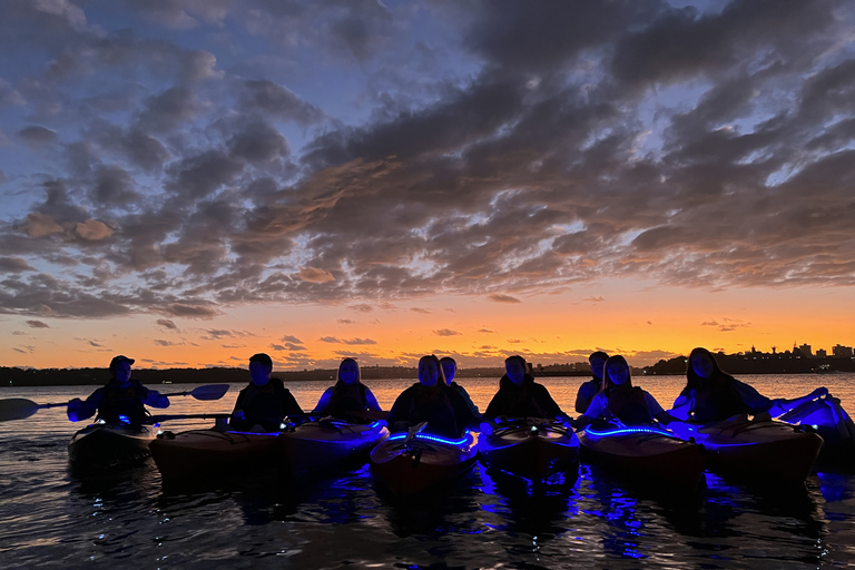 Sydney: Sunrise Kayak Tour on Sydney HarbourDouble Kayak