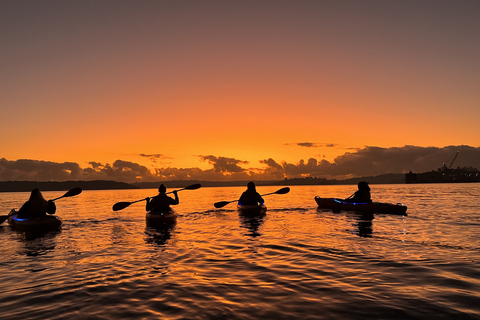 Sydney: Sunrise Kayak Tour on Sydney HarbourDouble Kayak