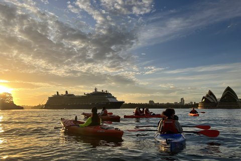 Sydney: Passeio de caiaque ao nascer do sol no porto de SydneyCaiaque Duplo