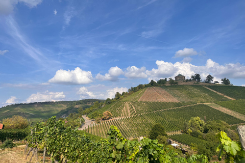 Stuttgart: Guided Vineyard Hike with 5 Wine Tastings