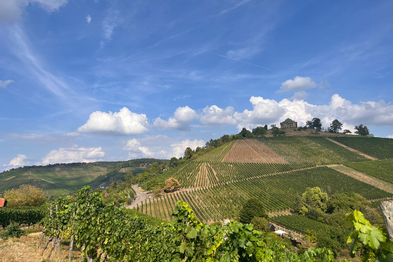Stuttgart: Guided Vineyard Hike with 5 Wine Tastings