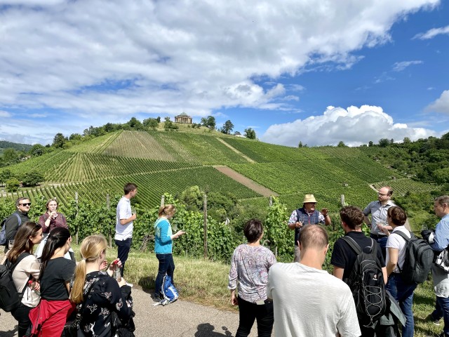 Visit Big 5 Winetasting - guided Weinberg wine hikes in Stuttgart