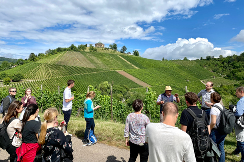 Stuttgart: Guided Vineyard Hike with 5 Wine Tastings