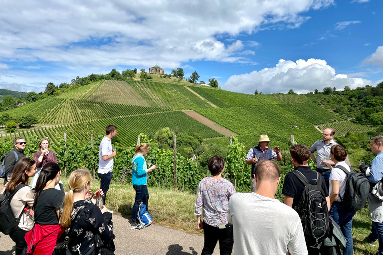 Stuttgart: Guided Vineyard Hike with 5 Wine Tastings