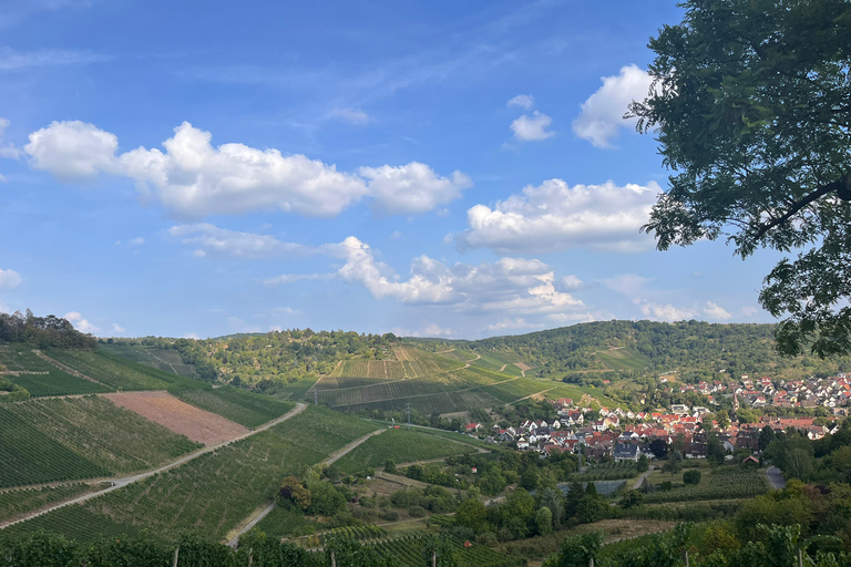 Stuttgart: Guided Vineyard Hike with 5 Wine Tastings