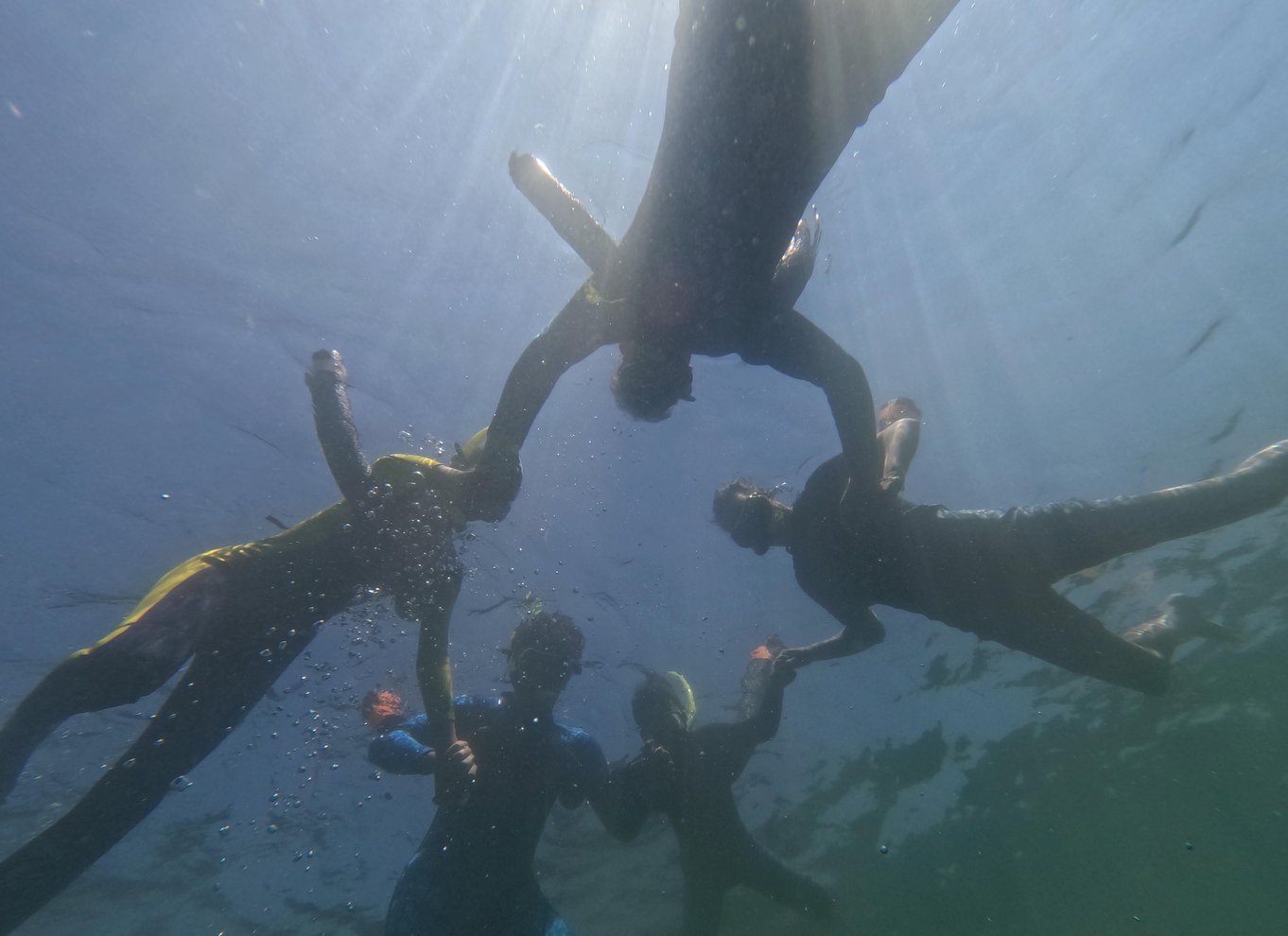 Crystal River: Guidet Snorkeltur Med Søkøer 