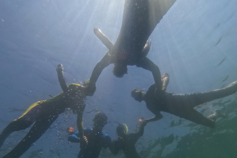 Crystal River: Guided Manatee Snorkeling Tour