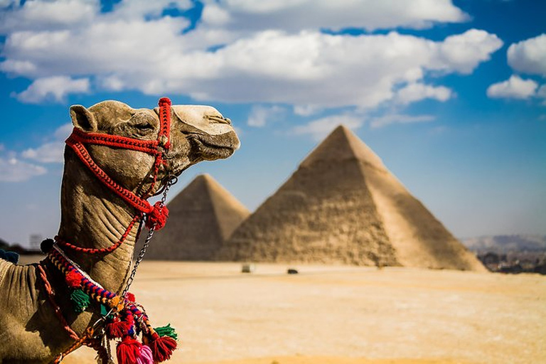 Excursion d'une journée aux Pyramides et au Musée depuis le port d'Ain Sokhna