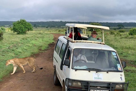 Game Drive i Nairobi nationalpark vid soluppgången