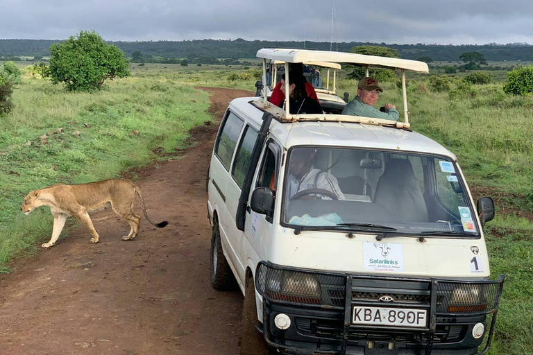 Nairobi national park, giraffe center, elephant orphanage.