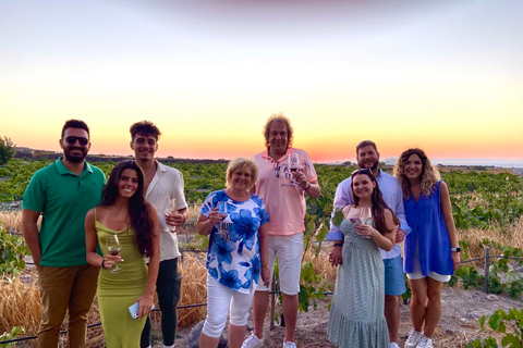 Santorini: Vineyard and Winery Tour with Cooking Class