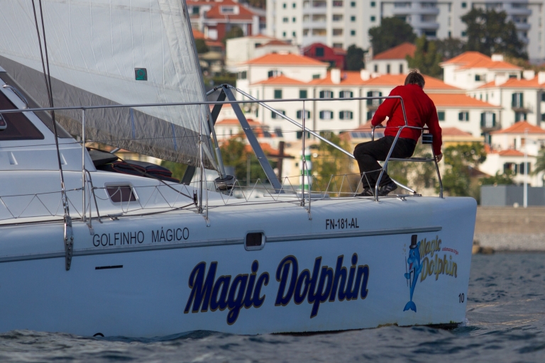 Magic Dolphin Celebrity Sailing Catamaran Private Catamaran Private Charter