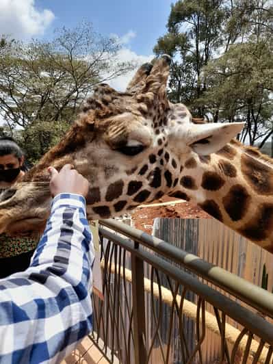 Nairobi: Wildlife Sites Day Tour With Sunrise Game Drive 