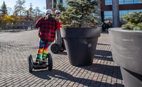 Toronto, Tour Segway du district de la distillerie de 30 minutes - Hizvo
