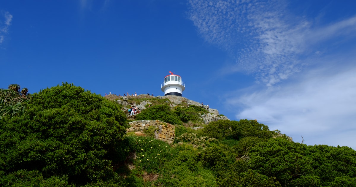 Città del Capo tour di un giorno della penisola, dei pinguini e del Capo di Buona Speranza