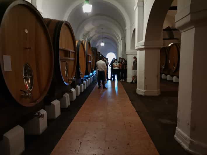 Lisbon Private Tour Evora with Wine Tasting at the Cartuxa GetYourGuide