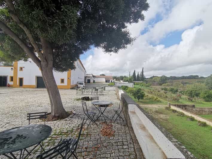 Lisbon Private Tour Evora with Wine Tasting at the Cartuxa GetYourGuide
